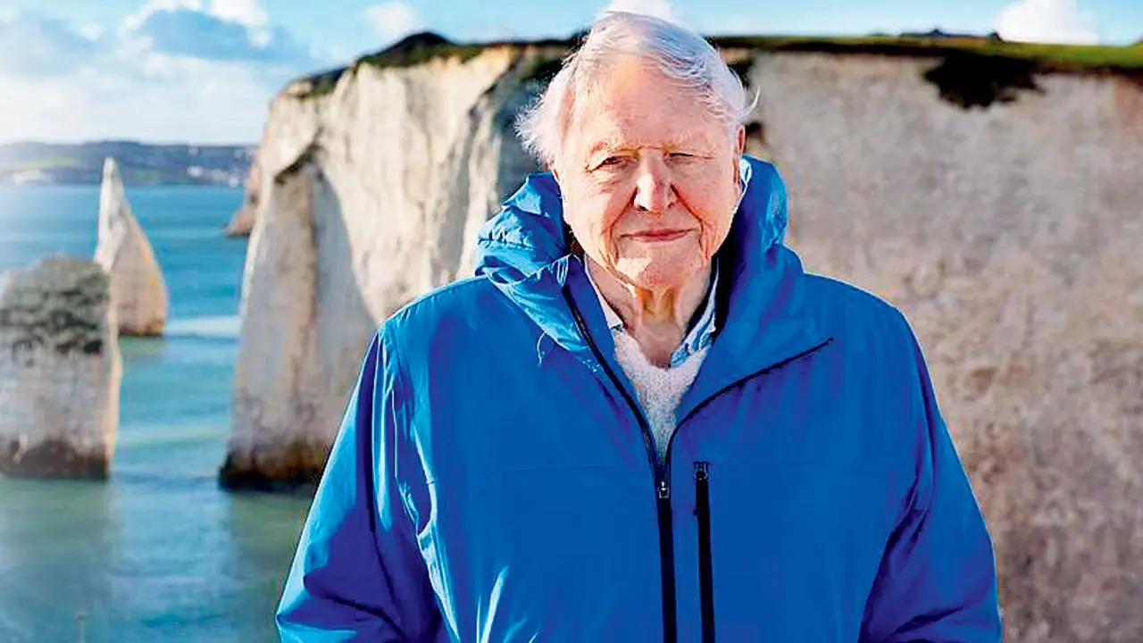 World Oceans Day: David Attenborough to release documentary on saving the sea